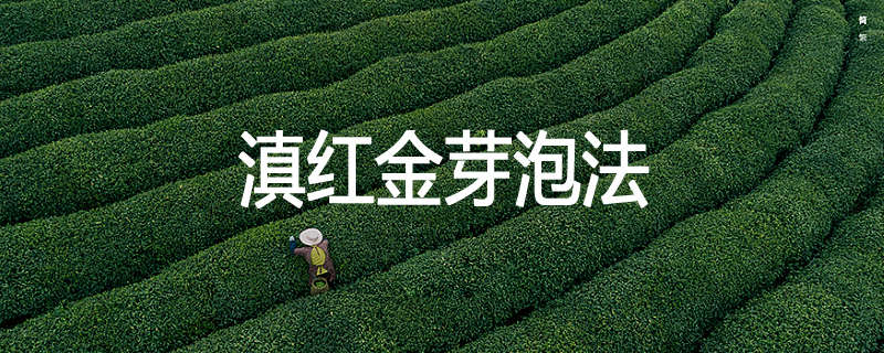 滇红金芽泡法