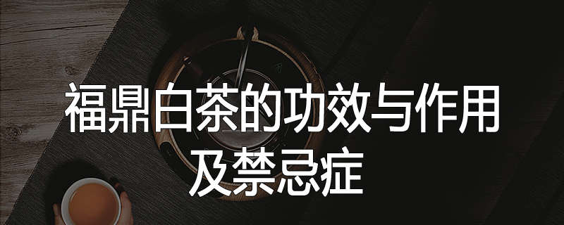 福鼎白茶的功效与作用及禁忌症