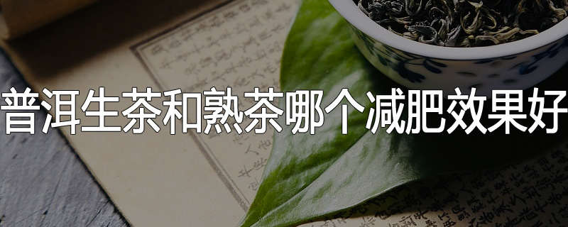 普洱生茶和熟茶哪个减肥效果好