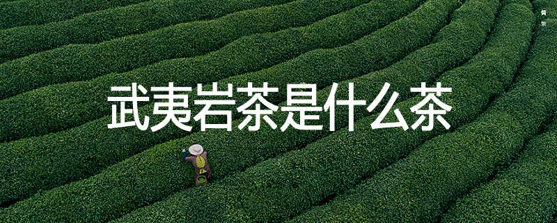 武夷岩茶是什么茶