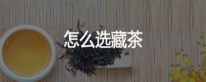 怎么选藏茶