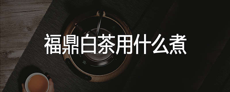 福鼎白茶用什么煮