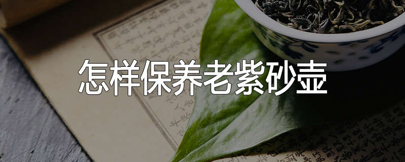 怎样保养老紫砂壶