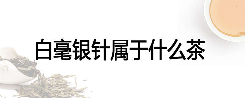 白毫银针属于什么茶
