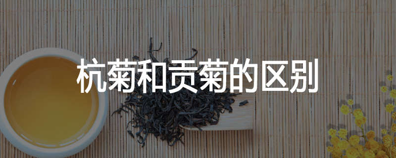 杭菊和贡菊的区别