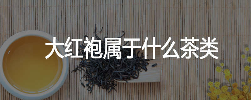 大红袍属于什么茶类