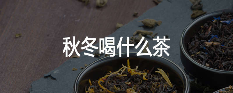 秋冬喝什么茶