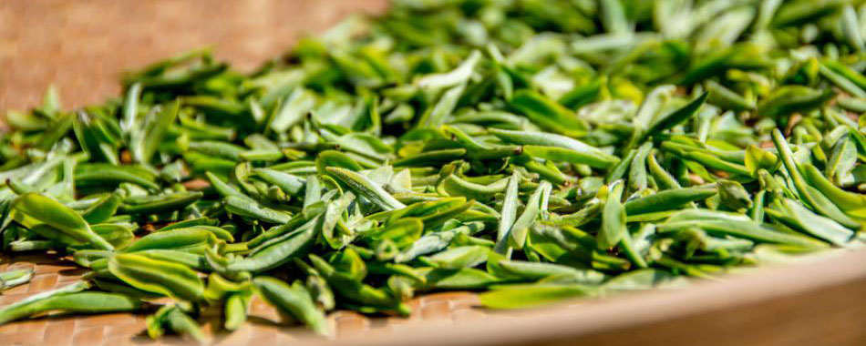 泡绿茶的水温最好多少度