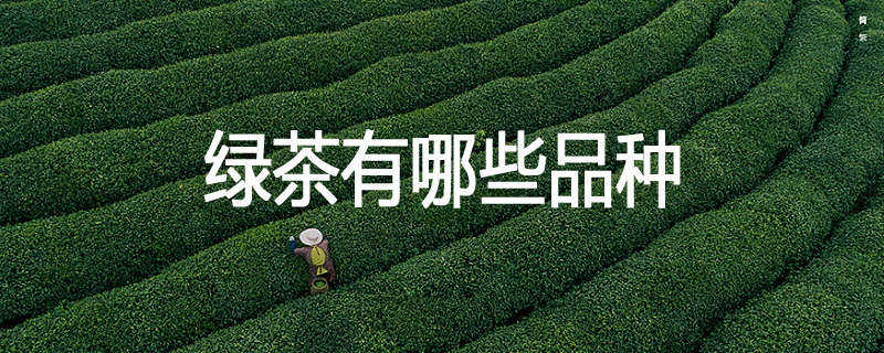 绿茶有哪些品种