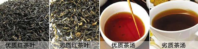 什么是假红茶