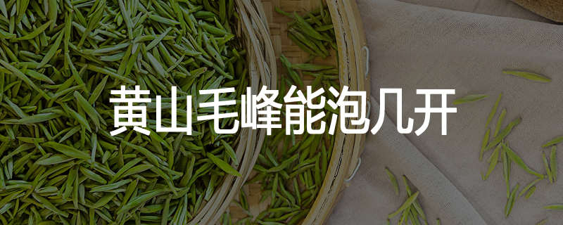 黄山毛峰能泡几开