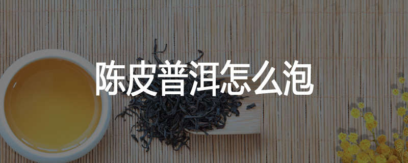 陈皮普洱怎么泡
