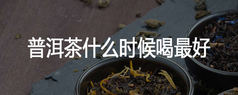 普洱茶什么时候喝最好