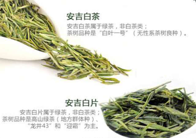 安吉白片跟安吉白茶有什么区别