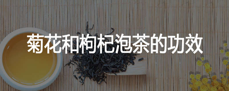 菊花和枸杞泡茶的功效