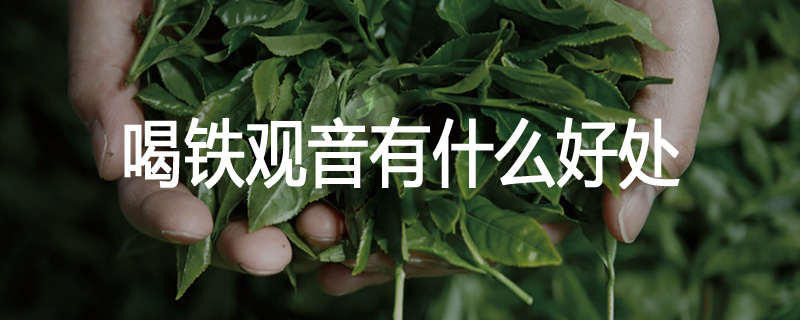 喝铁观音有什么好处