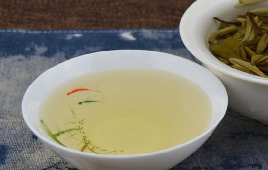 白牡丹茶喝有回甘吗