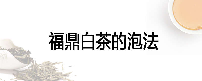 福鼎白茶的泡法